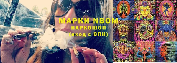 ПСИЛОЦИБИНОВЫЕ ГРИБЫ Арсеньев