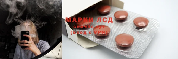 ПСИЛОЦИБИНОВЫЕ ГРИБЫ Арсеньев