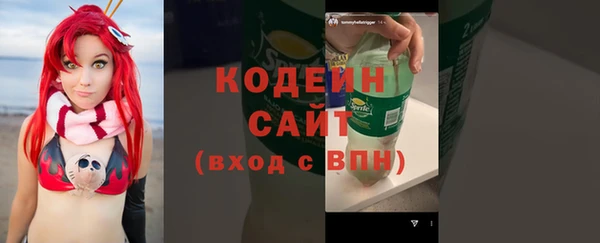 ПСИЛОЦИБИНОВЫЕ ГРИБЫ Арсеньев