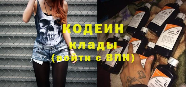 ПСИЛОЦИБИНОВЫЕ ГРИБЫ Арсеньев