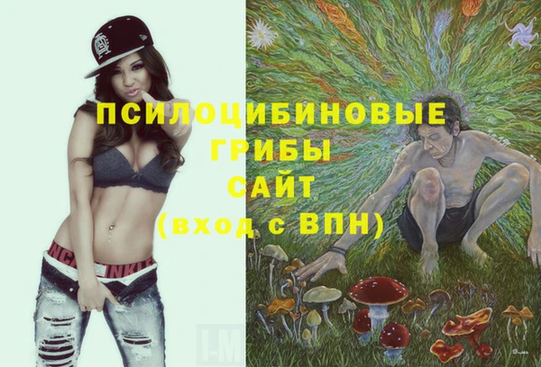 твердый Армянск