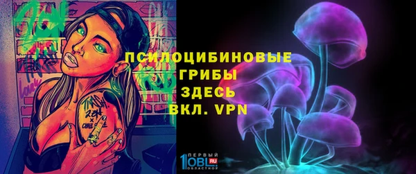 ПСИЛОЦИБИНОВЫЕ ГРИБЫ Арсеньев