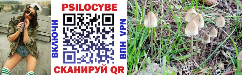 Галлюциногенные грибы Psilocybe Купить Бабушкин